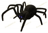 RC Black Widow (pavouk černá vdova)