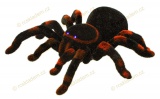 RC Tarantula (pavouk tarantule)