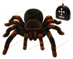 rc tarantule