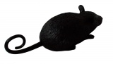 Rc myš