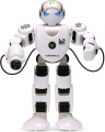 Programovatelný RC robot HUMANOID
