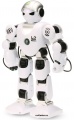 Programovatelný RC robot HUMANOID