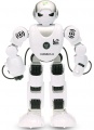 Programovatelný RC robot HUMANOID