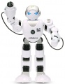 Programovatelný RC robot HUMANOID