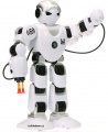 Programovatelný RC robot HUMANOID